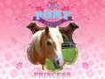 /album/bildgalleri/pony-friends-princess-nintendo-ds-jpg/